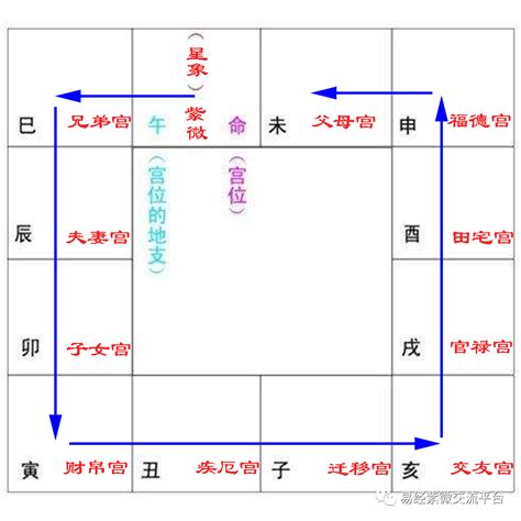 紫微斗數12宮|紫薇十二宫